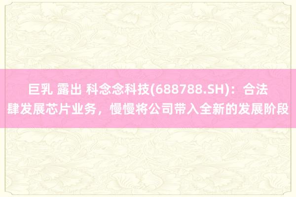 巨乳 露出 科念念科技(688788.SH)：合法肆发展芯片业务，慢慢将公司带入全新的发展阶段