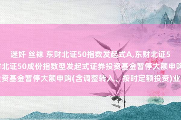 迷奸 丝袜 东财北证50指数发起式A,东财北证50指数发起式C: 西藏东财北证50成份指数型发起式证券投资基金暂停大额申购(含调整转入、按时定额投资)业务的公告