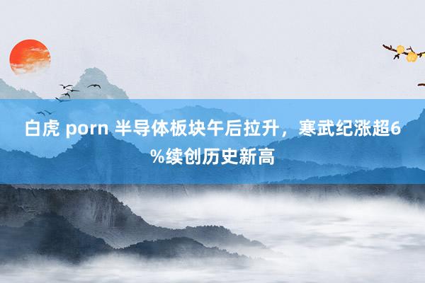 白虎 porn 半导体板块午后拉升，寒武纪涨超6%续创历史新高