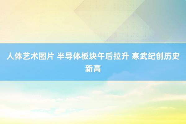 人体艺术图片 半导体板块午后拉升 寒武纪创历史新高