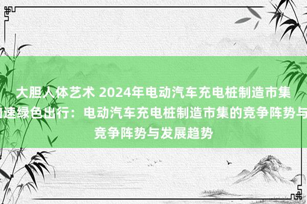 大胆人体艺术 2024年电动汽车充电桩制造市集概况——加速绿色出行：电动汽车充电桩制造市集的竞争阵势与发展趋势