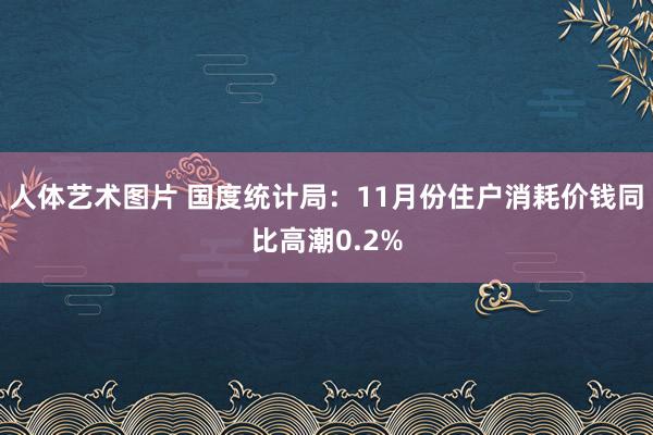 人体艺术图片 国度统计局：11月份住户消耗价钱同比高潮0.2%