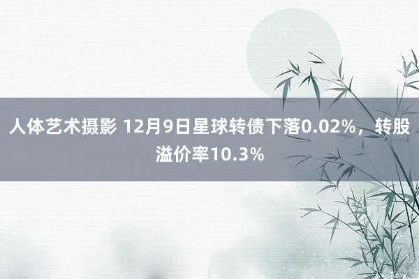 人体艺术摄影 12月9日星球转债下落0.02%，转股溢价率10.3%