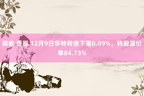 调教 漫画 12月9日华特转债下落0.09%，转股溢价率84.73%