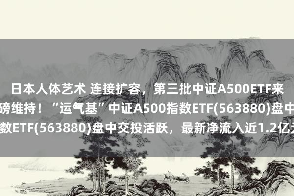 日本人体艺术 连接扩容，第三批中证A500ETF来了，并购重组范围迎重磅维持！“运气基”中证A500指数ETF(563880)盘中交投活跃，最新净流入近1.2亿元！