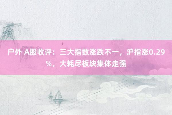 户外 A股收评：三大指数涨跌不一，沪指涨0.29%，大耗尽板块集体走强