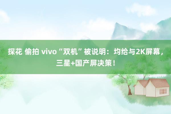探花 偷拍 vivo“双机”被说明：均给与2K屏幕，三星+国产屏决策！