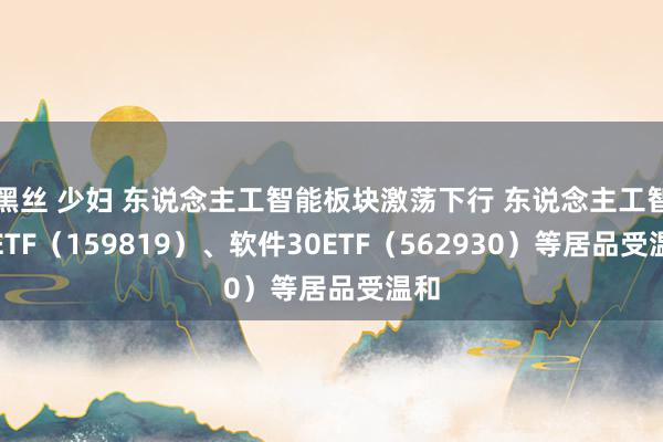 黑丝 少妇 东说念主工智能板块激荡下行 东说念主工智能ETF（159819）、软件30ETF（562930）等居品受温和