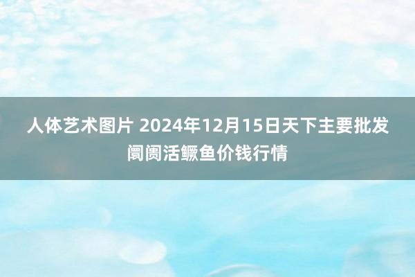 人体艺术图片 2024年12月15日天下主要批发阛阓活鳜鱼价钱行情