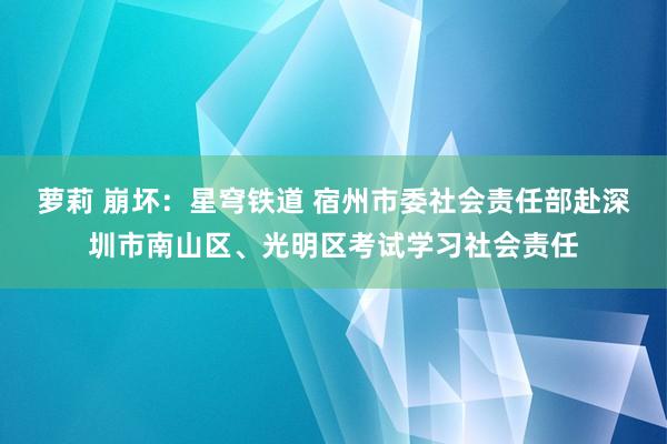 萝莉 崩坏：星穹铁道 宿州市委社会责任部赴深圳市南山区、光明区考试学习社会责任