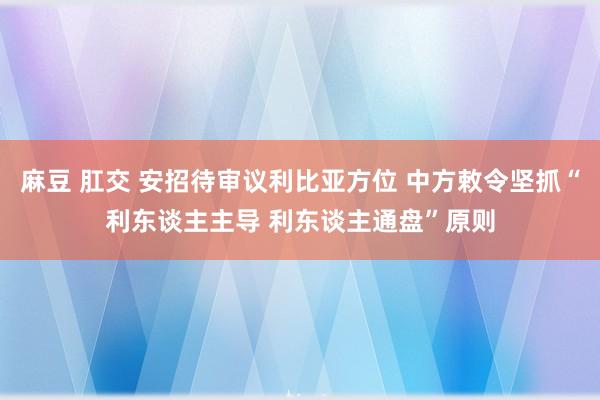 麻豆 肛交 安招待审议利比亚方位 中方敕令坚抓“利东谈主主导 利东谈主通盘”原则