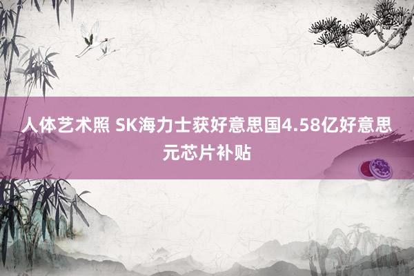 人体艺术照 SK海力士获好意思国4.58亿好意思元芯片补贴