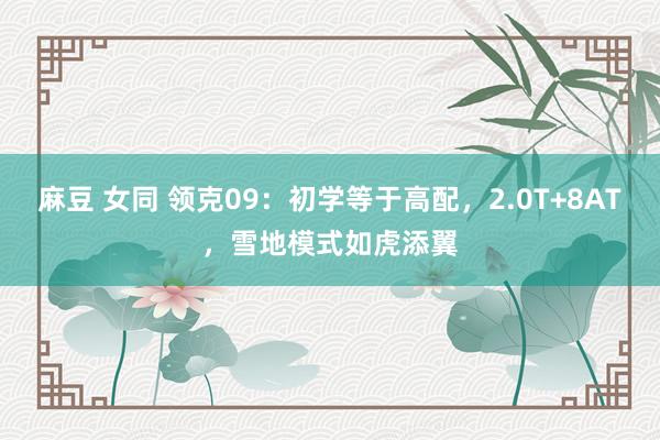 麻豆 女同 领克09：初学等于高配，2.0T+8AT，雪地模式如虎添翼