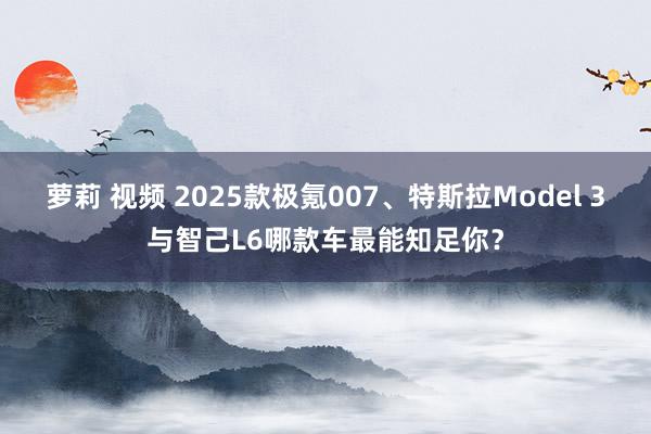 萝莉 视频 2025款极氪007、特斯拉Model 3与智己L6哪款车最能知足你？