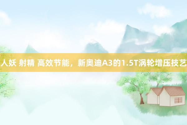 人妖 射精 高效节能，新奥迪A3的1.5T涡轮增压技艺