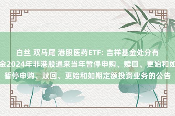 白丝 双马尾 港股医药ETF: 吉祥基金处分有限公司对于旗下部分基金2024年非港股通来当年暂停申购、赎回、更始和如期定额投资业务的公告