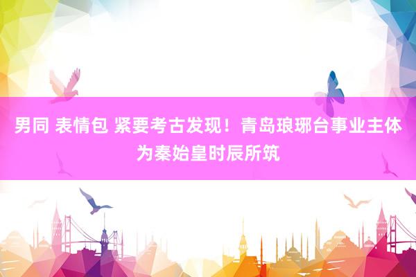 男同 表情包 紧要考古发现！青岛琅琊台事业主体为秦始皇时辰所筑