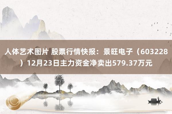 人体艺术图片 股票行情快报：景旺电子（603228）12月23日主力资金净卖出579.37万元