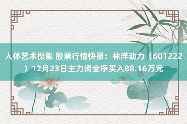 人体艺术摄影 股票行情快报：林洋动力（601222）12月23日主力资金净买入88.16万元