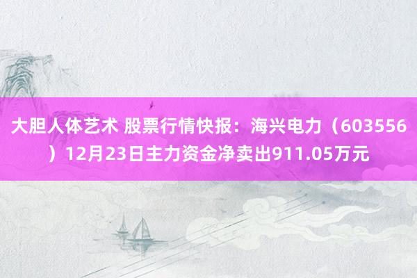 大胆人体艺术 股票行情快报：海兴电力（603556）12月23日主力资金净卖出911.05万元