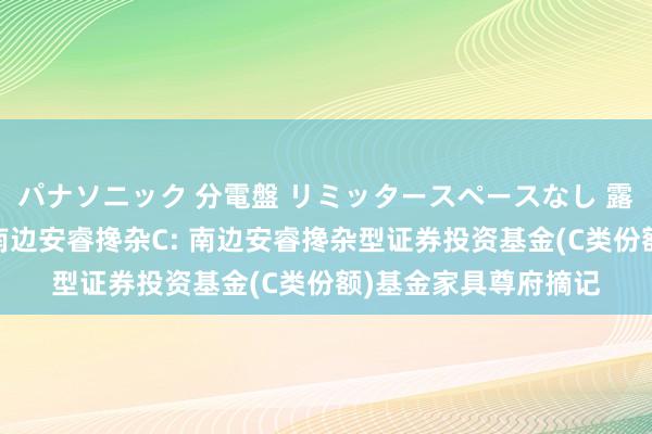 パナソニック 分電盤 リミッタースペースなし 露出・半埋込両用形 南边安睿搀杂C: 南边安睿搀杂型证券投资基金(C类份额)基金家具尊府摘记