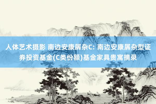 人体艺术摄影 南边安康羼杂C: 南边安康羼杂型证券投资基金(C类份额)基金家具贵寓摘录