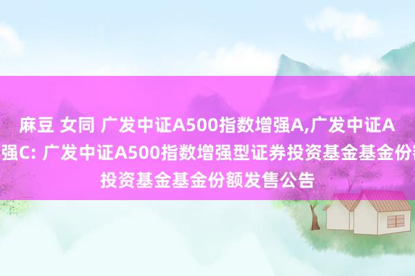 麻豆 女同 广发中证A500指数增强A，广发中证A500指数增强C: 广发中证A500指数增强型证券投资基金基金份额发售公告