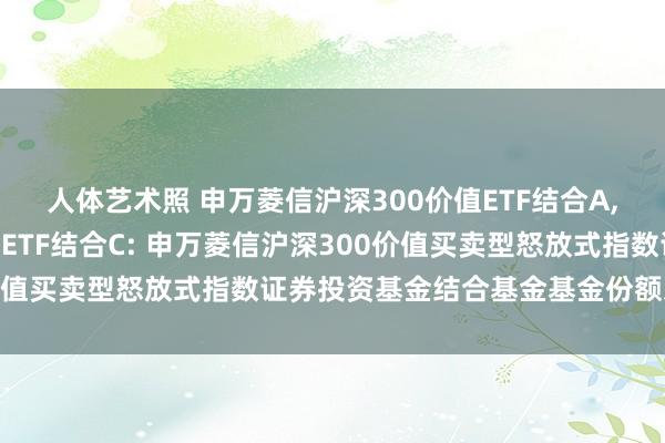 人体艺术照 申万菱信沪深300价值ETF结合A,申万菱信沪深300价值ETF结合C: 申万菱信沪深300价值买卖型怒放式指数证券投资基金结合基金基金份额发售公告