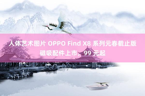 人体艺术图片 OPPO Find X8 系列元春截止版磁吸配件上市，99 元起