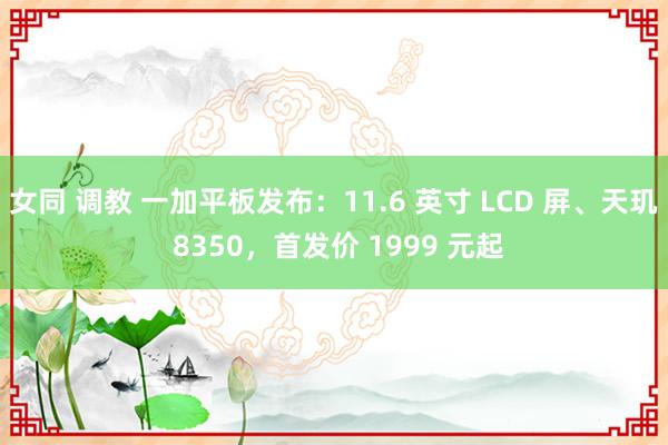 女同 调教 一加平板发布：11.6 英寸 LCD 屏、天玑 8350，首发价 1999 元起