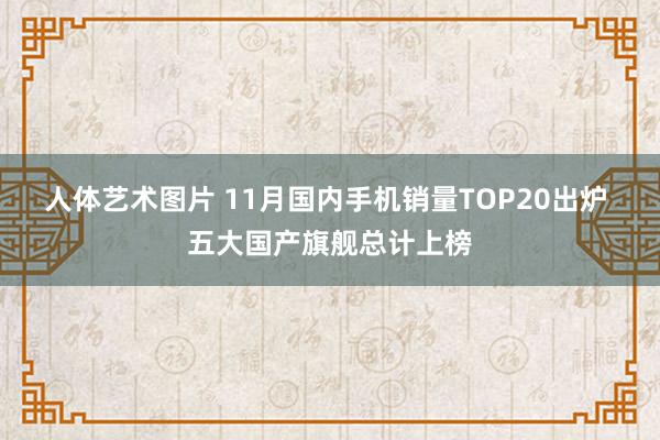 人体艺术图片 11月国内手机销量TOP20出炉 五大国产旗舰总计上榜