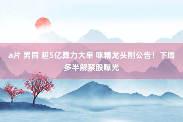 a片 男同 超5亿算力大单 味精龙头刚公告！下周多半解禁股曝光