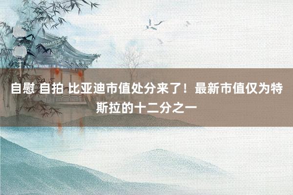 自慰 自拍 比亚迪市值处分来了！最新市值仅为特斯拉的十二分之一