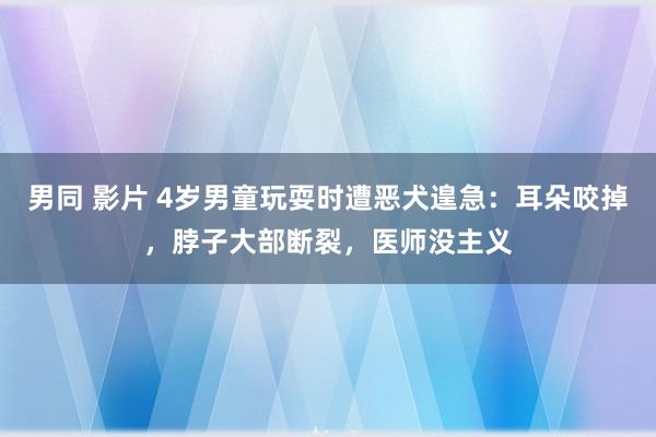 男同 影片 4岁男童玩耍时遭恶犬遑急：耳朵咬掉，脖子大部断裂，医师没主义