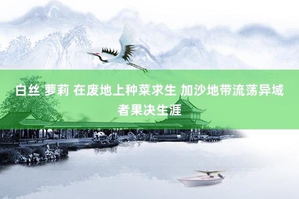 白丝 萝莉 在废地上种菜求生 加沙地带流荡异域者果决生涯