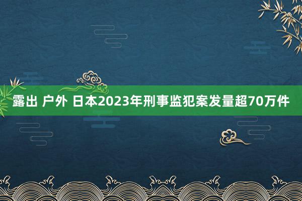 露出 户外 日本2023年刑事监犯案发量超70万件