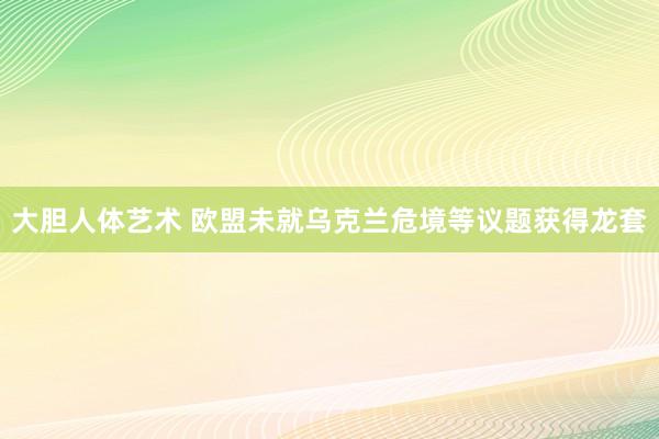 大胆人体艺术 欧盟未就乌克兰危境等议题获得龙套