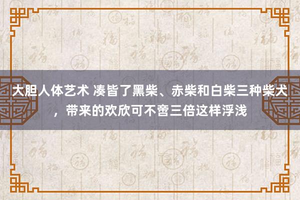 大胆人体艺术 凑皆了黑柴、赤柴和白柴三种柴犬，带来的欢欣可不啻三倍这样浮浅