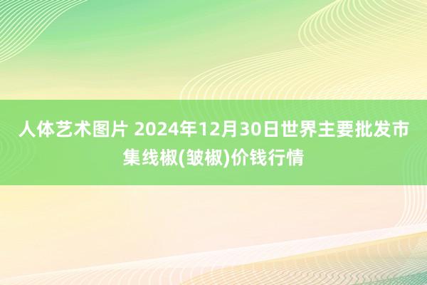 人体艺术图片 2024年12月30日世界主要批发市集线椒(皱椒)价钱行情