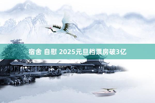 宿舍 自慰 2025元旦档票房破3亿
