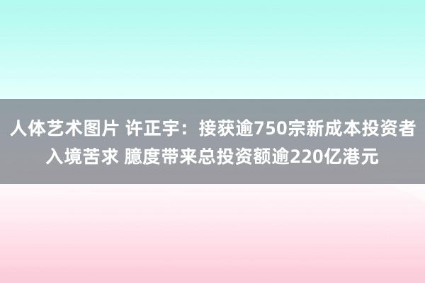 人体艺术图片 许正宇：接获逾750宗新成本投资者入境苦求 臆度带来总投资额逾220亿港元