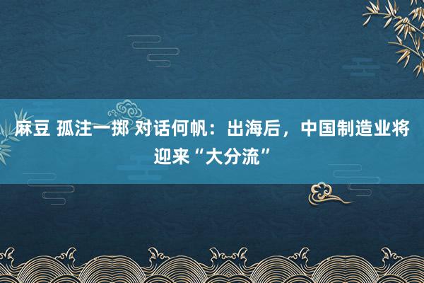 麻豆 孤注一掷 对话何帆：出海后，中国制造业将迎来“大分流”