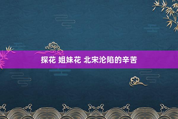 探花 姐妹花 北宋沦陷的辛苦
