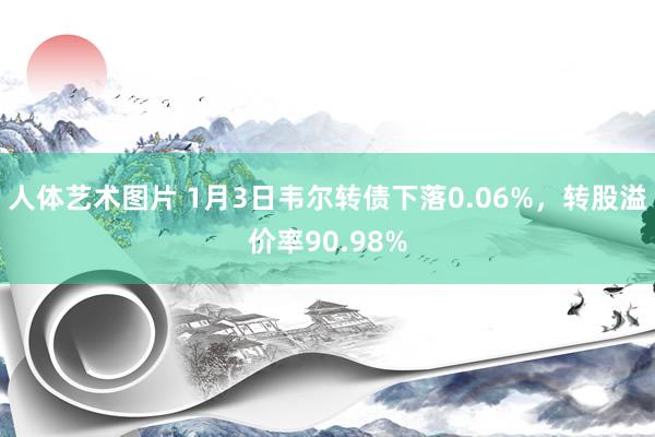 人体艺术图片 1月3日韦尔转债下落0.06%，转股溢价率90.98%