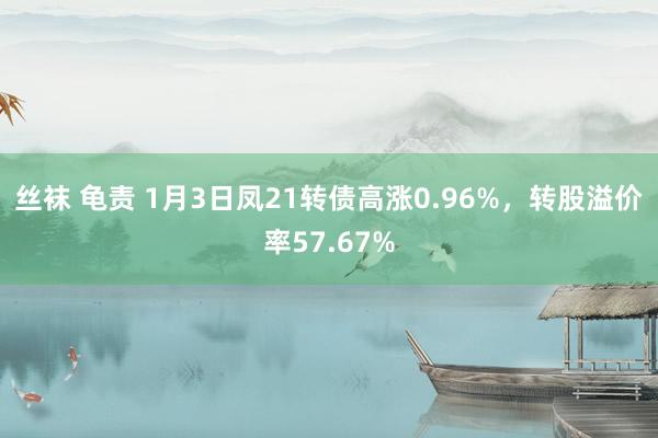 丝袜 龟责 1月3日凤21转债高涨0.96%，转股溢价率57.67%