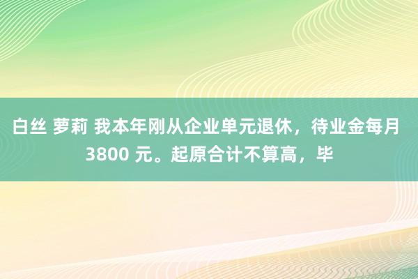 白丝 萝莉 我本年刚从企业单元退休，待业金每月 3800 元。起原合计不算高，毕