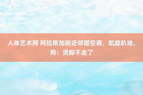 人体艺术网 阿拉斯加跑近邻蹭空调，凯旋趴地，狗：烫脚不走了