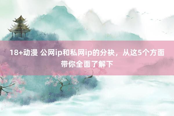 18+动漫 公网ip和私网ip的分袂，从这5个方面带你全面了解下