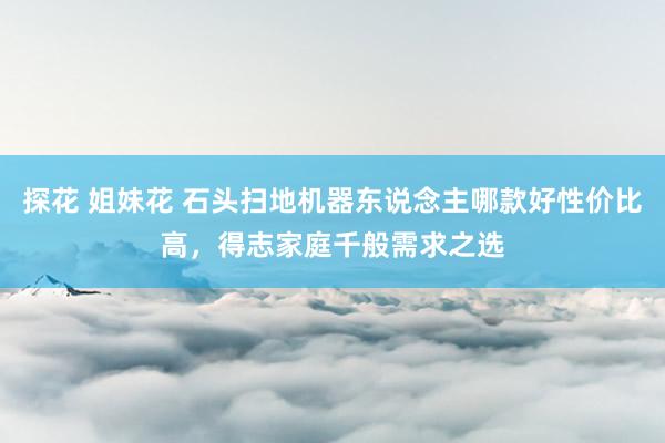 探花 姐妹花 石头扫地机器东说念主哪款好性价比高，得志家庭千般需求之选