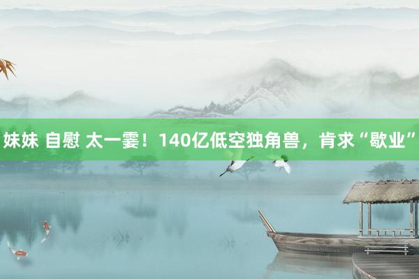 妹妹 自慰 太一霎！140亿低空独角兽，肯求“歇业”